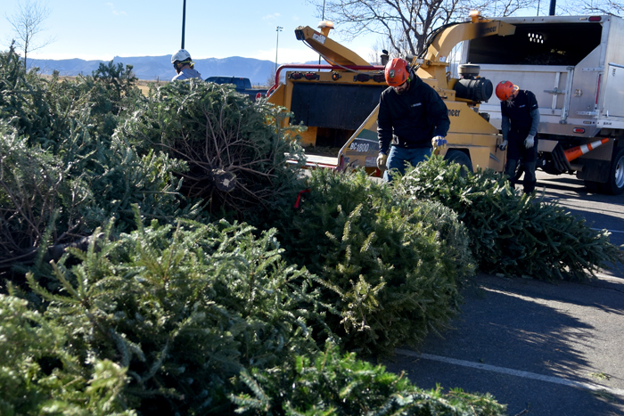 Christmas Tree Recycling