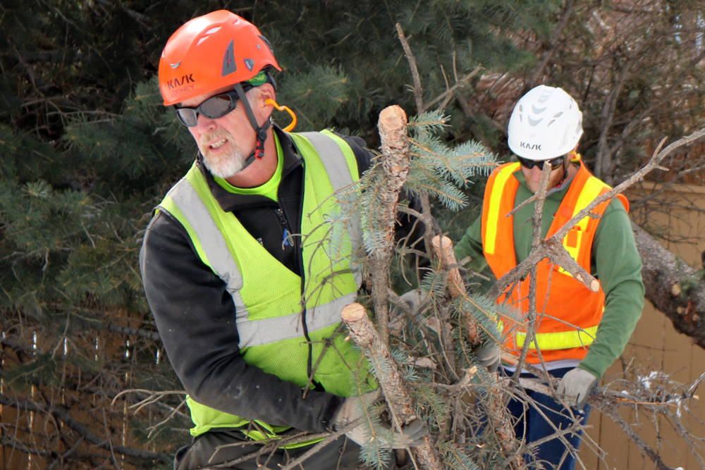 Storm Cleanup