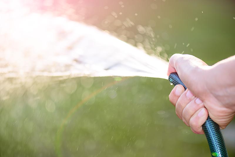 Hand Watering in Dry Conditions