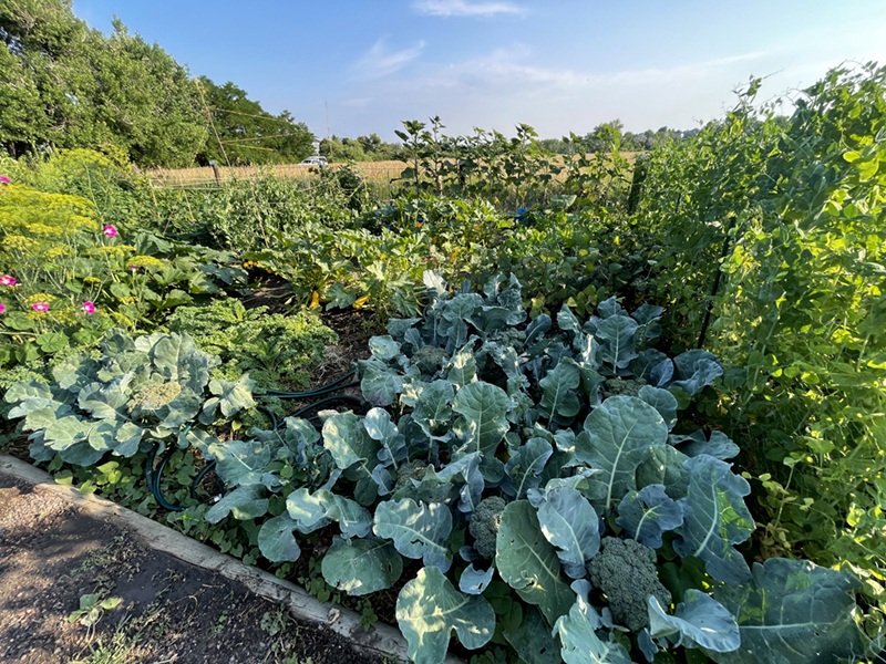 Community Garden Cheese Ranch