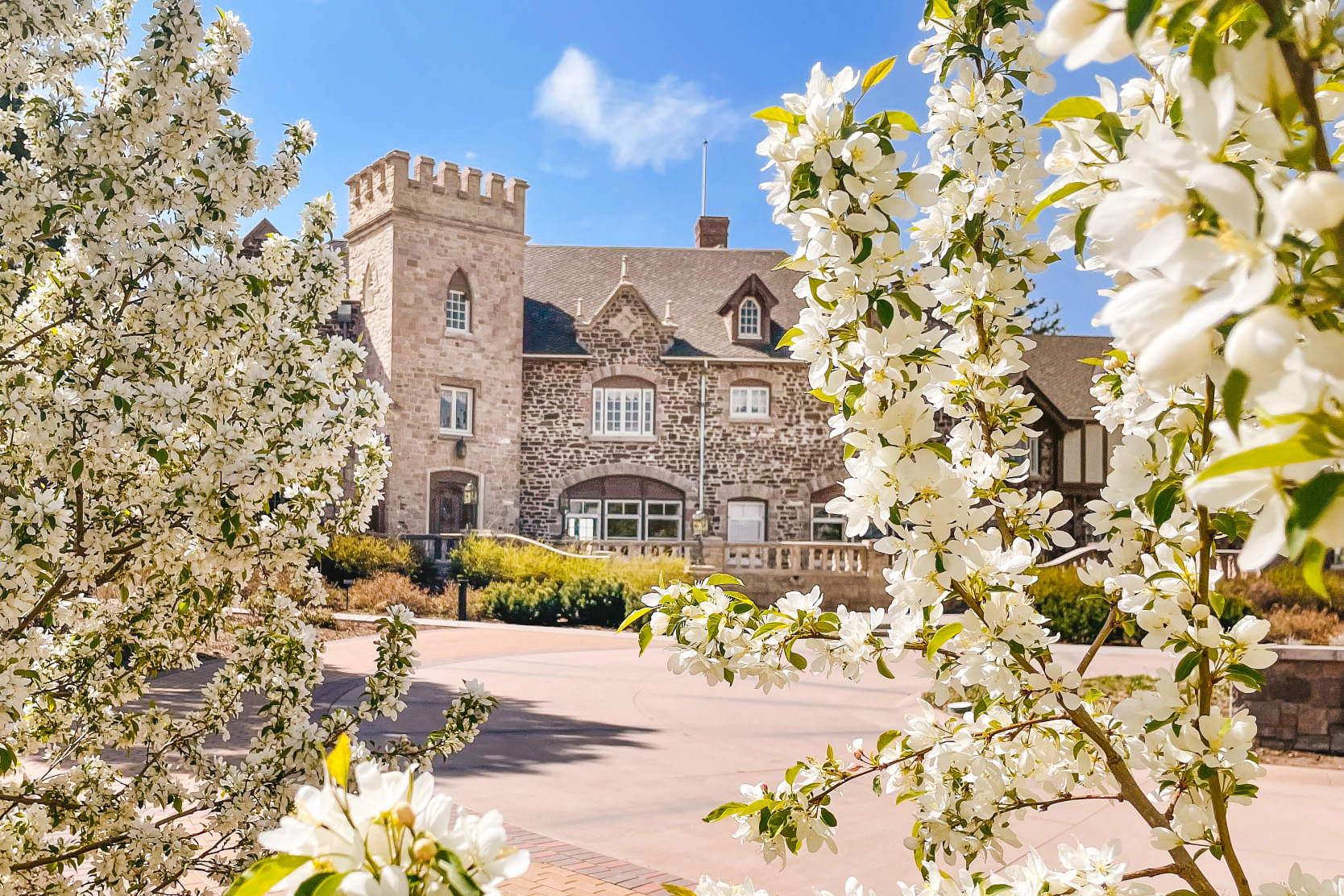 Highlands Ranch Mansion framed by blooming spring trees