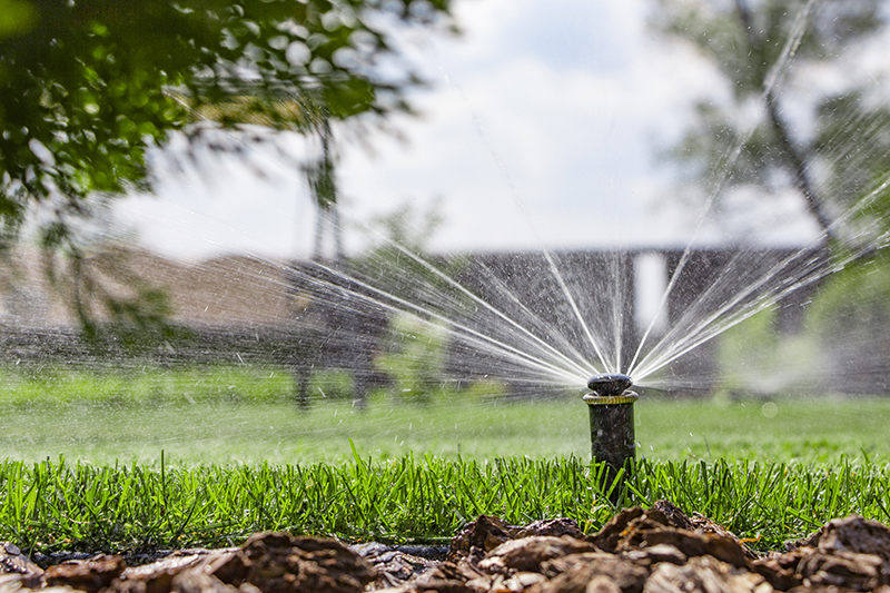 Sprinkler watering grass