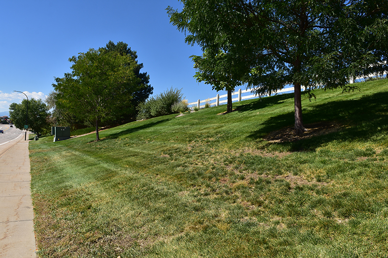 University Parkway Conversion Site