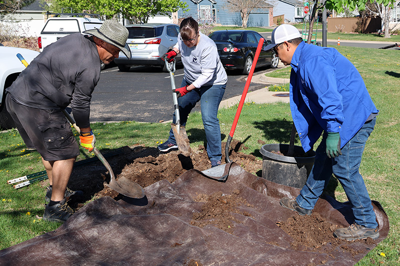 Three Arbor Day volunteers dig a hole to plant a tree.