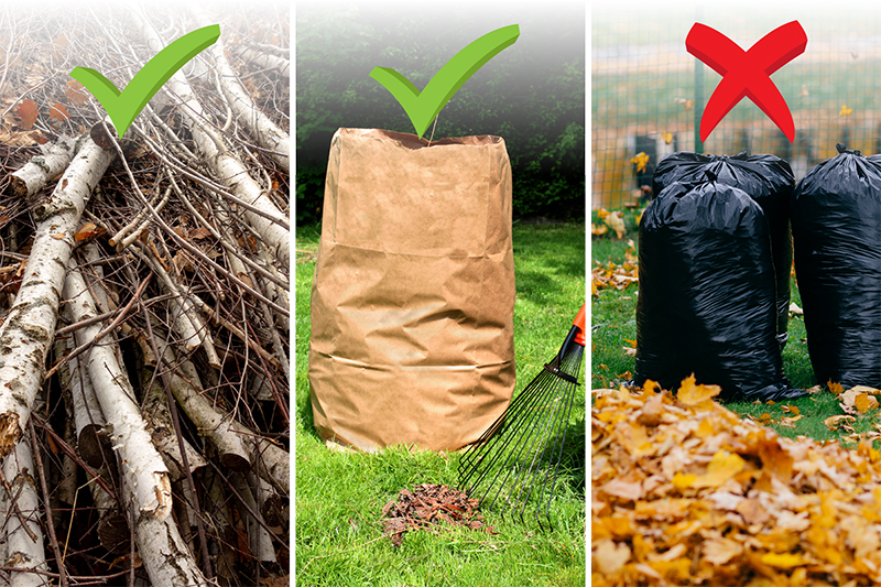 A graphic illustrating that loose tree limbs and yard waste in paper bags are acceptable for drop-off. Yard waste in plastic bags will not be accepted.