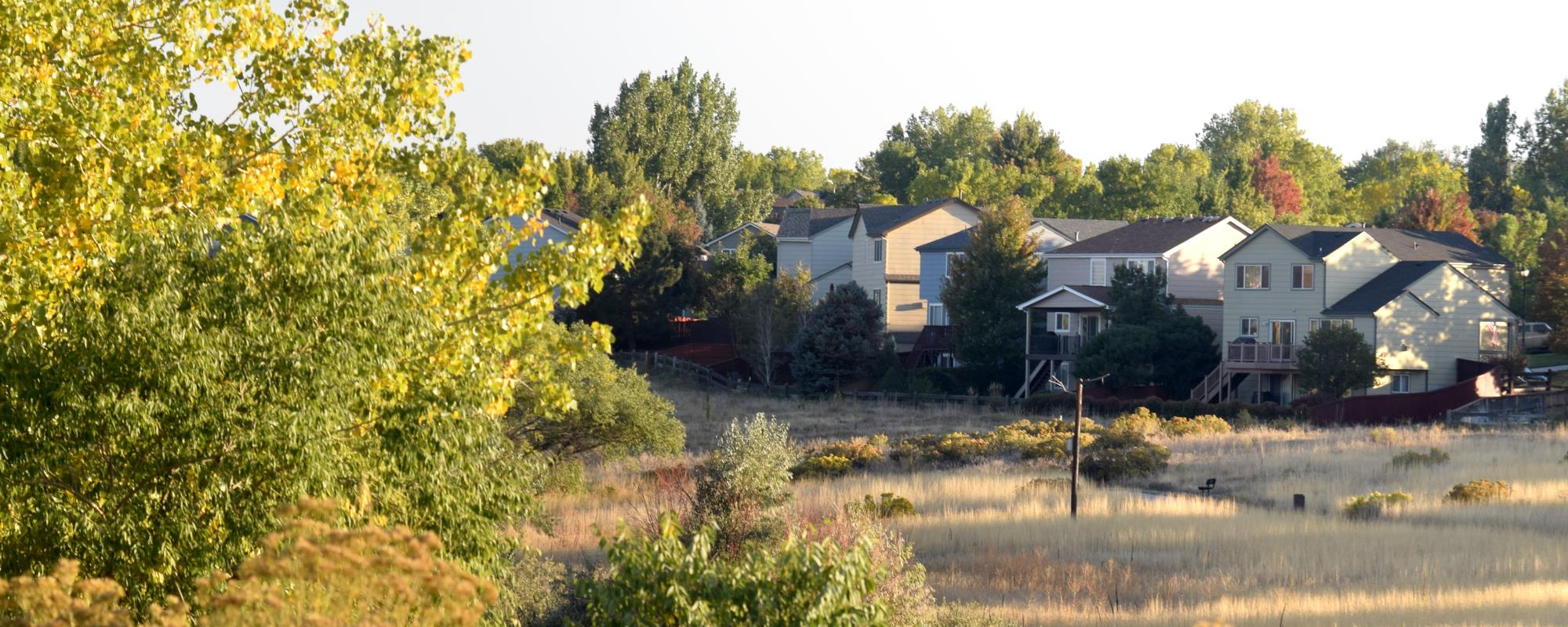 Property Line Open Space