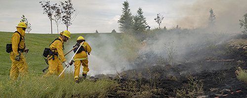 Wildland Fire